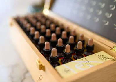 Bachove kapi - CENTAR PSIHOLOGIJE